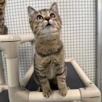 Thumbnail photo of Gwen #3