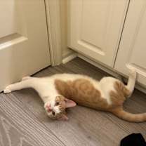 Thumbnail photo of Michael #2