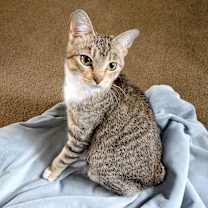 Thumbnail photo of Winnie #1