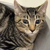 Thumbnail photo of Max #1