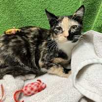 Thumbnail photo of Wendy #1