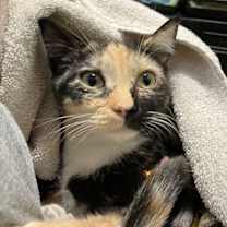 Thumbnail photo of Wendy #2