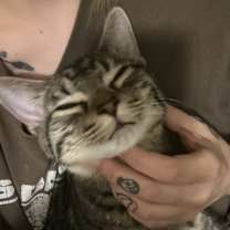 Thumbnail photo of mojo #1