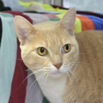 Thumbnail photo of Florence #1