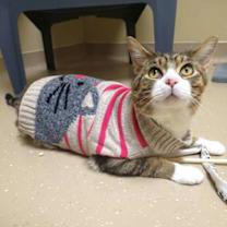 Thumbnail photo of Barry #2