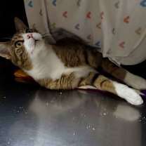 Thumbnail photo of Barry #3