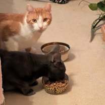 Thumbnail photo of Freddie FOSTER #1