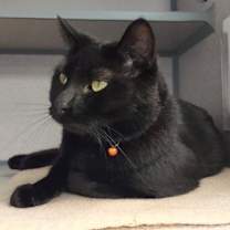 Thumbnail photo of Winnifred #2