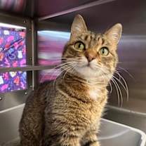 Thumbnail photo of Jeanne #1