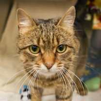 Thumbnail photo of Jeanne #2