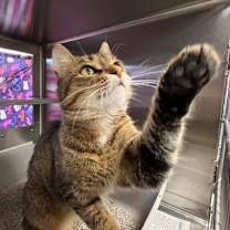 Thumbnail photo of Jeanne #3