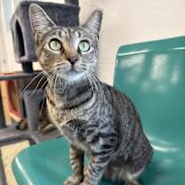 Thumbnail photo of Mami #1