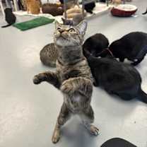 Thumbnail photo of Mami #2