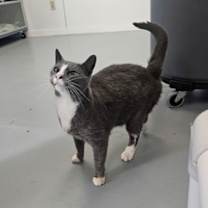 Thumbnail photo of Charlie #3