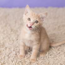 Thumbnail photo of Mary #4