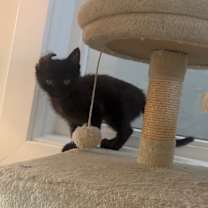 Thumbnail photo of Nagoya #3