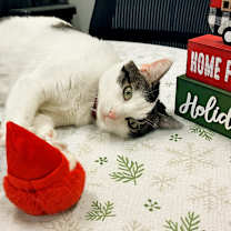 Thumbnail photo of Tina #1