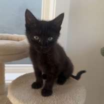 Thumbnail photo of Nagoya #4