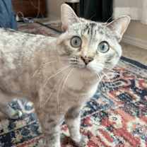 Thumbnail photo of Elsa #4