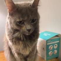 Thumbnail photo of Simba & Mowgli #3