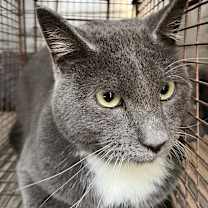 Thumbnail photo of Dean #2