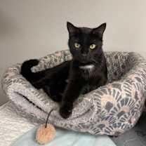 Thumbnail photo of Savannah NC #1