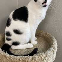 Thumbnail photo of Quebec #1