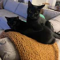 Thumbnail photo of August & Phoenix #2