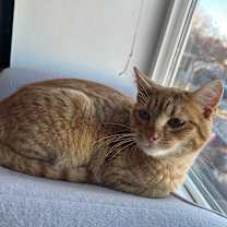 Thumbnail photo of Ristretto #4