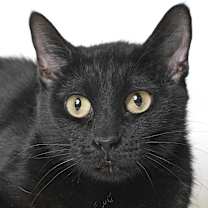 Thumbnail photo of Kerry #1