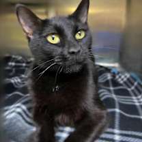 Thumbnail photo of Kerry #2