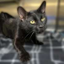 Thumbnail photo of Kerry #3