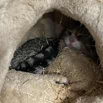 Thumbnail photo of Francine #2