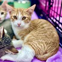 Thumbnail photo of Tater #1