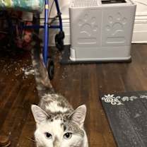 Thumbnail photo of Angel #1