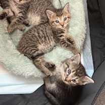 Thumbnail photo of Ellen #4