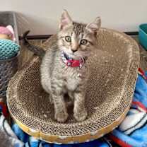 Thumbnail photo of Audrey #1