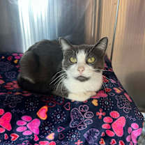 Thumbnail photo of Butter #1