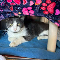 Thumbnail photo of Butter #3