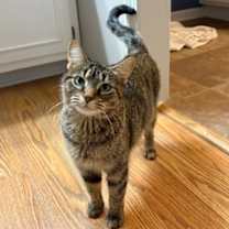 Thumbnail photo of Polly #1