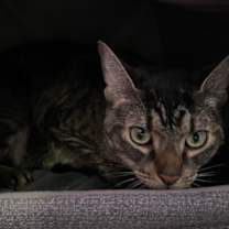 Thumbnail photo of Mirror #3