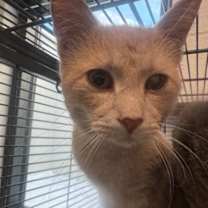 Thumbnail photo of Cory #3