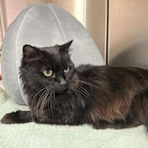 Thumbnail photo of Libby #1