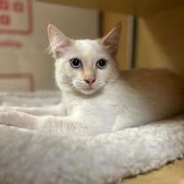 Thumbnail photo of Milo #4