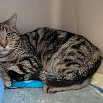 Thumbnail photo of Kyla #1