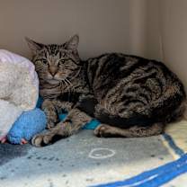 Thumbnail photo of Kyla #4