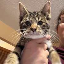 Thumbnail photo of Gadget #2