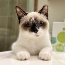 Thumbnail photo of Casper #1