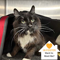 Thumbnail photo of Paul #1