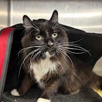 Thumbnail photo of Paul #2